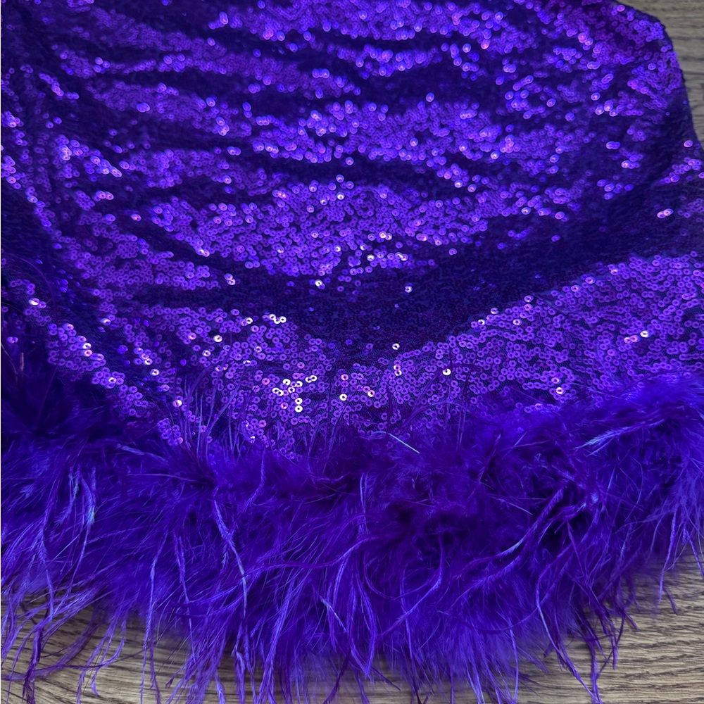 Sequin And Feathers Statement Top - image 8